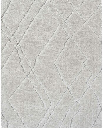 Andessi rug Tribali 014 0005 2181 160 230 B P