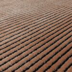 Asiatic rug Kuza Stripe Terracotta 4