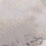 Asiatic rug Stellar ST03 4