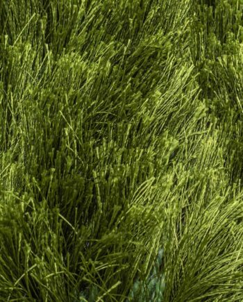 Brinker Carpets rug CS Arezzo 474