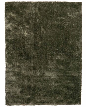 Brinker Carpets rug Viterbo ST Hunter